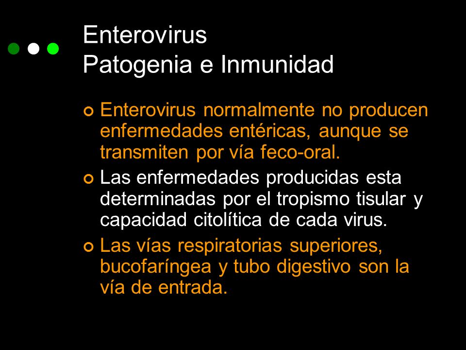 enterovirus digestivo